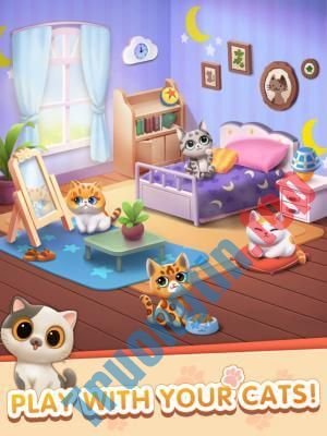 Các&nbsp;giống&nbsp;mèo&nbsp;từ&nbsp;khắp&nbsp;nơi&nbsp;trên&nbsp;thế&nbsp;giới