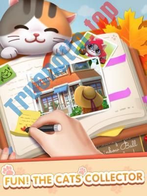 Thu&nbsp;thập&nbsp;mèo&nbsp;vui&nbsp;nhộn