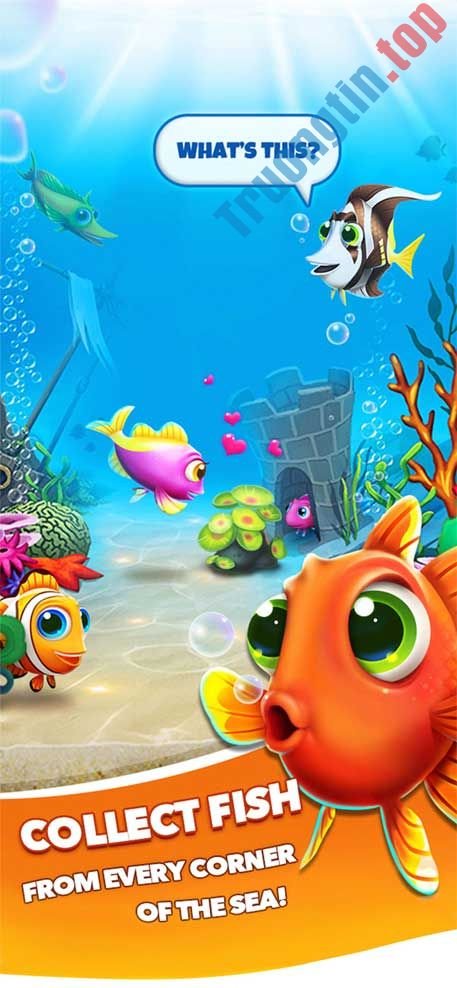 Thu thập cá trong Fish Mania cho iOS