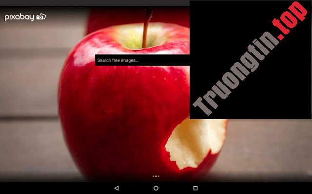 Download Pixabay cho Android 1.2.8 – Kho ảnh, video và nhạc bản quyền miễn phí