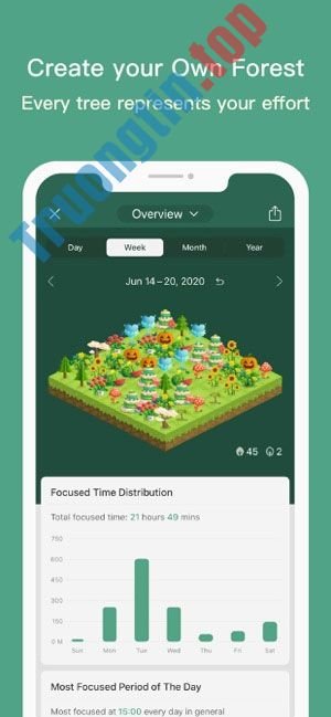 Tạo&nbsp;nên&nbsp;1&nbsp;khu&nbsp;rừng&nbsp;của&nbsp;riêng&nbsp;bạn