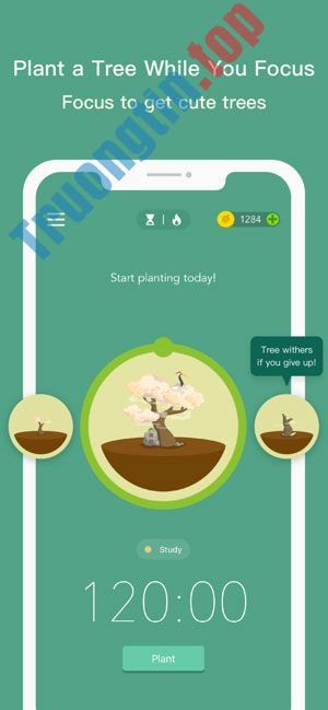 Forest&nbsp;-&nbsp;Stay&nbsp;Focused&nbsp;giúp&nbsp;bạn&nbsp;rèn&nbsp;luyện&nbsp;sự&nbsp;tập&nbsp;trung