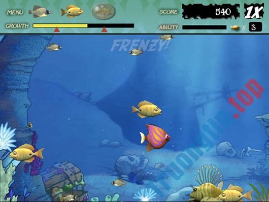 Download Feeding Frenzy Deluxe 5.7.18.1 – Game cá lớn nuốt cá bé – Trường Tín