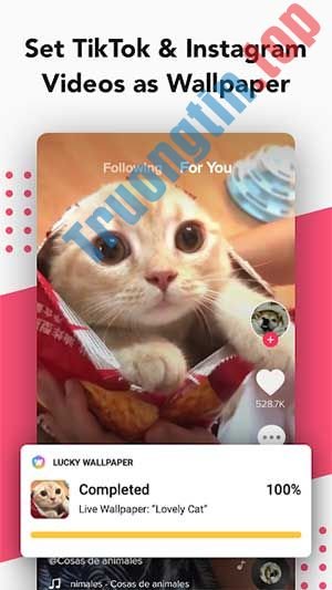 Cài video TikTok và Instagram làm hình nền 