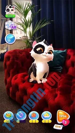 Chăm&nbsp;sóc&nbsp;một&nbsp;chú&nbsp;mèo&nbsp;dễ&nbsp;thương