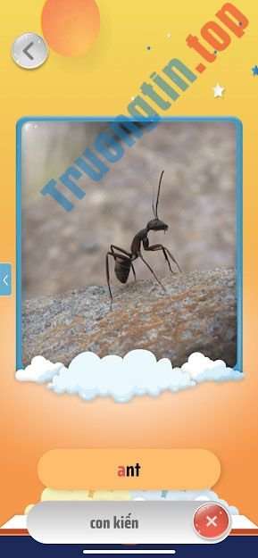 tieng&nbsp;anh&nbsp;123&nbsp;9*259722