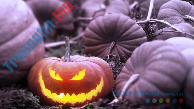 Download Hình nền đẹp Halloween – Bộ sưu tập hình nền Halloween cực đẹp
