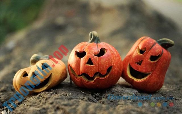 Download Pumpkin Season – Bộ sưu tập hình nền bí ngô Halloween – Trường Tín