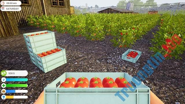 Trồng trọt và chăn nuôi trong game Farmer Life Simulator
