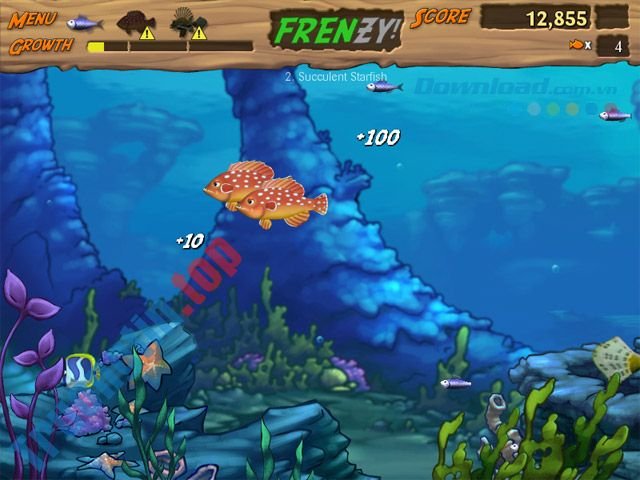Download Feeding Frenzy 2 – Game cá lớn nuốt cá bé