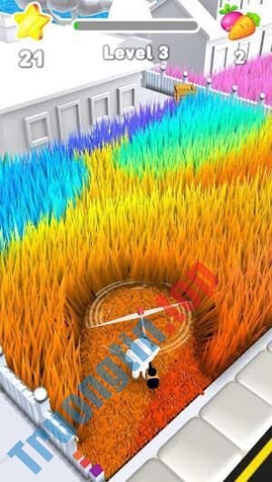 Dọn&nbsp;dẹp&nbsp;cỏ&nbsp;trên&nbsp;sân
