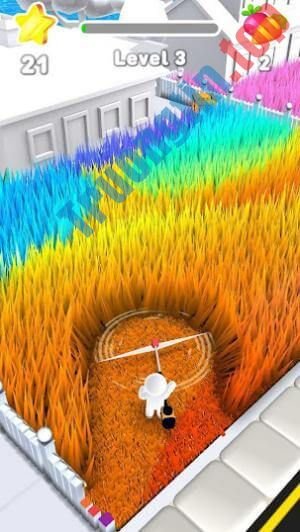 Dọn&nbsp;dẹp&nbsp;cỏ&nbsp;trên&nbsp;sân