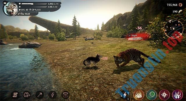 Cuộc chiến sinh tồn khốc liệt giữa sói hoang với những loài động vật hoang dã khác của The Wolf game