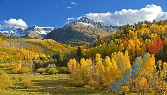Hình nền mùa thu ở vùng núi