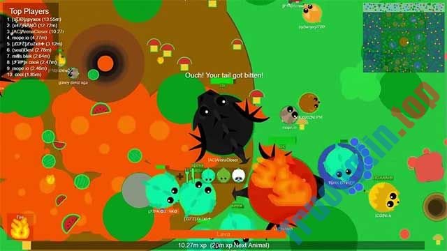 Mope.io là game io phong cách sinh tồn vui nhộn có giống cá lớn nuốt cá bé