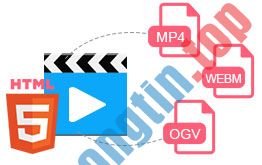 Download Any Video Converter Pro 7.0.7 – Phần mềm chuyển đổi video chuyên nghiệp