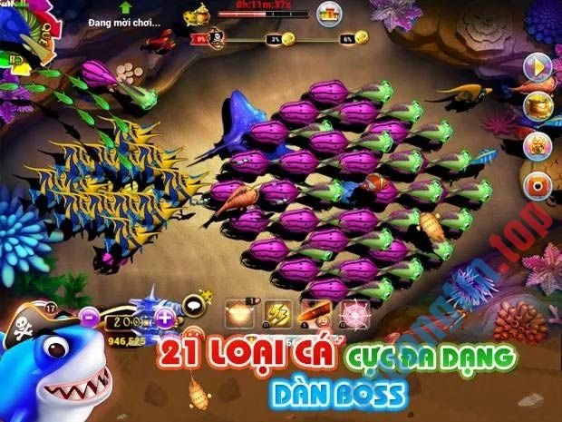 DzoCá&nbsp;mang&nbsp;tới&nbsp;21&nbsp;loại&nbsp;cá&nbsp;cùng&nbsp;các&nbsp;loại&nbsp;thủy&nbsp;quái