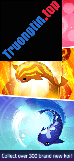 Tiến&nbsp;hóa&nbsp;cá&nbsp;của&nbsp;bạn