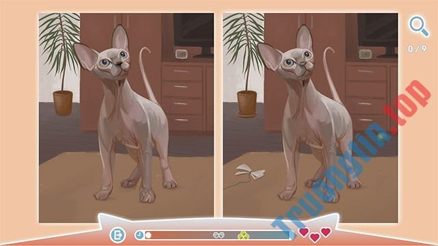 Download Cute Cats – Game tìm điểm khác nhau giữa 2 bức tranh mèo dễ thương