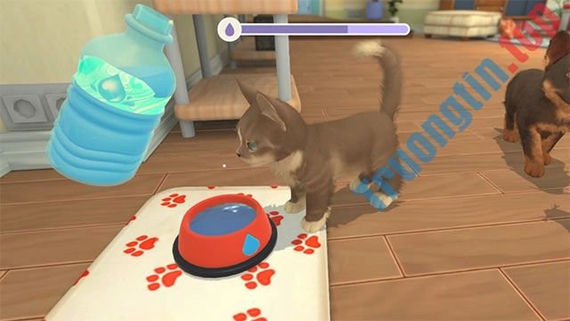 Chăm&nbsp;sóc&nbsp;chó&nbsp;và&nbsp;mèo&nbsp;bằng&nbsp;cách&nbsp;vuốt&nbsp;ve,&nbsp;cho&nbsp;ăn,&nbsp;chơi&nbsp;đùa&nbsp;với&nbsp;chúng