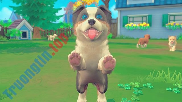 Huấn&nbsp;luyện&nbsp;thú&nbsp;cưng&nbsp;những&nbsp;trò&nbsp;vui&nbsp;mới&nbsp;mỗi&nbsp;ngày