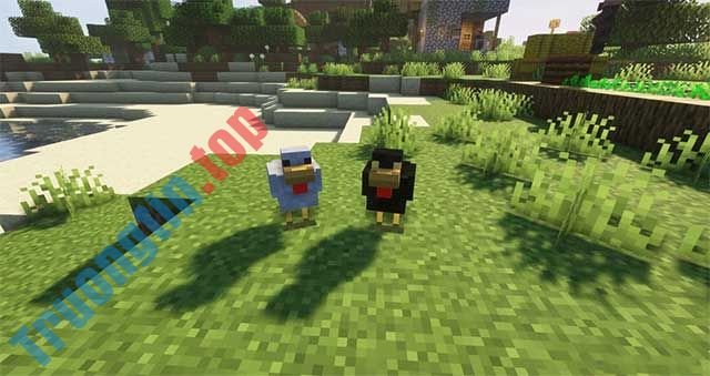 Crimson Chicken Mod sẽ giới thiệu vào Minecraft một hệ thống làm ổ (Nest)