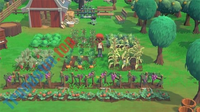 Bản cập nhật Farming Update trong Hokko Life game tập trung vào chủ đề nông trại