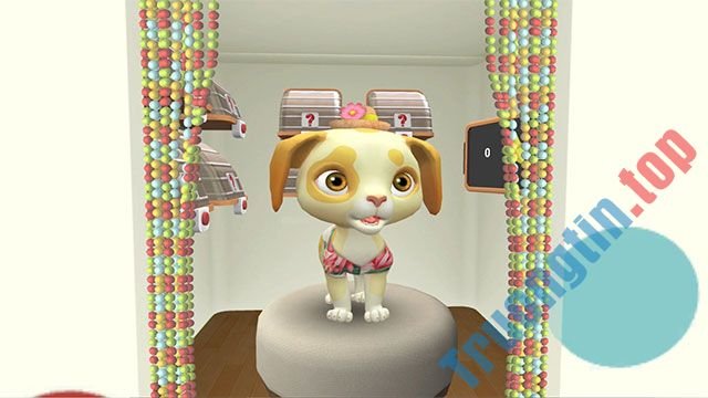 Bộ sưu tập phụ kiện trong Pets VR game khiến thú cưng đáng yêu và thú vị hơn