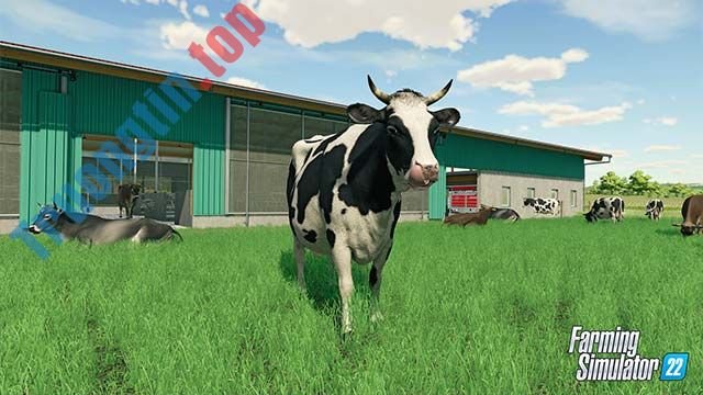 Làm ruộng, chăn nuôi và xây dựng trang trại sáng tạo trong game Farming Simulator 22