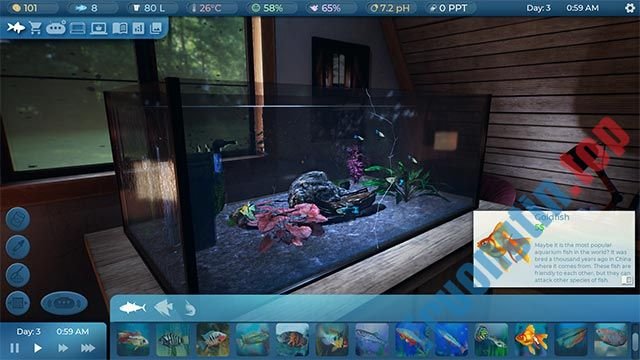 Download Fishkeeper – Game kinh doanh cá cảnh – Trường Tín