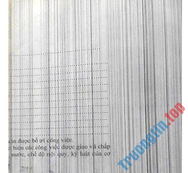 Lỗi bản in có một vệt đen chạy dọc, thẳng từ trên xuống