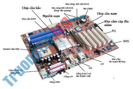 Dịch Vụ Sửa Máy Tính Đường Tân Trang Quận Tân Bình