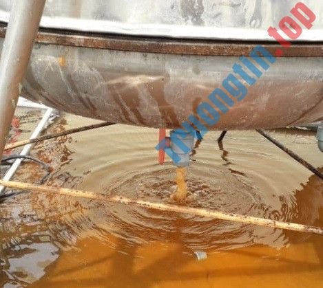 Đơn Vị Sửa Bồn Nước Giá Rẻ Tại Huyện Nhà Bè