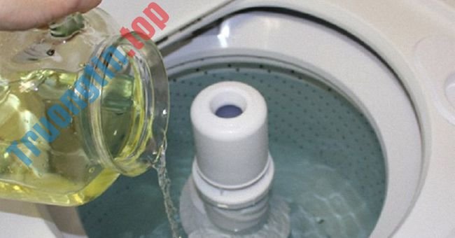 Dịch Vụ Sửa Máy Giặt Bị Hôi Quận Tân Phú