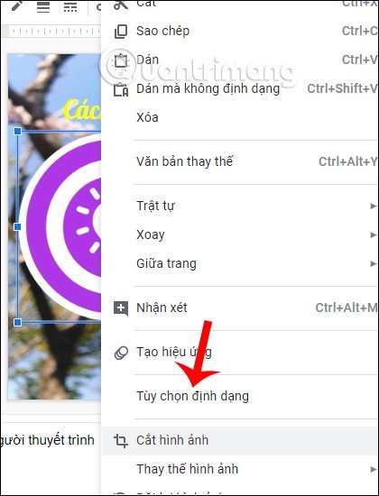 Tùy&nbsp;chọn&nbsp;định&nbsp;dạng&nbsp;