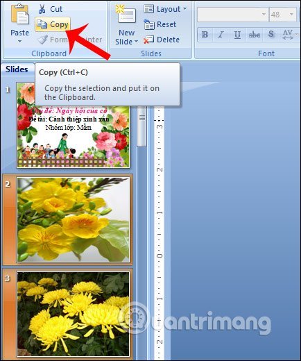 Chọn&nbsp;slide&nbsp;