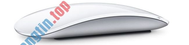 Con&nbsp;chuột&nbsp;Apple&nbsp;Magic&nbsp;Mouse&nbsp;2