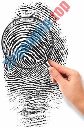 Website Traffic Fingerprinting là gì? Có nguy hiểm không? 1 Website Traffic Fingerprinting là một phương pháp để xác định thời điểm và những gì người dùng thực hiện trên Internet