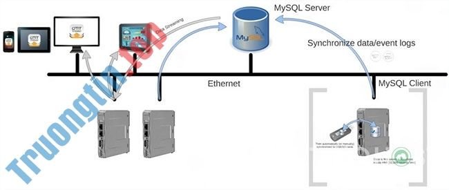 Database server là gì?