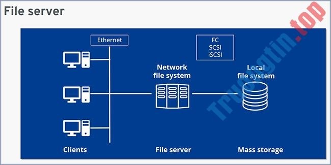 File server là gì?