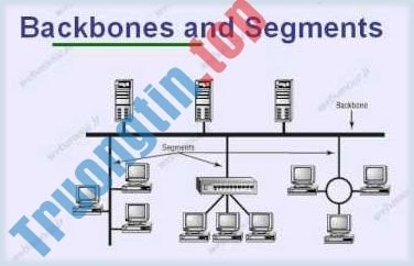 Backbone&nbsp;và&nbsp;segment&nbsp;là&nbsp;những&nbsp;khái&nbsp;niệm&nbsp;quan&nbsp;trọng&nbsp;trong&nbsp;thiết&nbsp;kế&nbsp;mạng