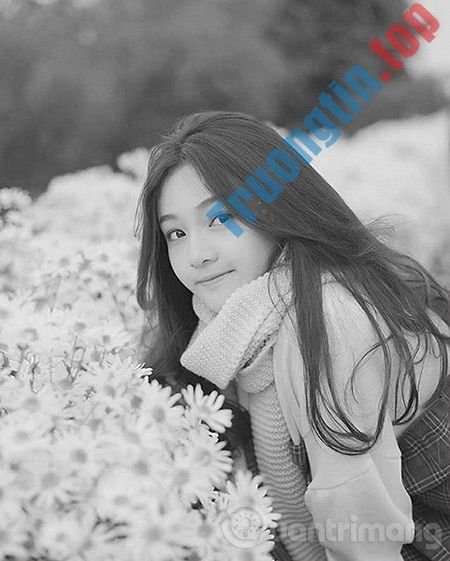 Ảnh&nbsp;loại&nbsp;bỏ&nbsp;màu