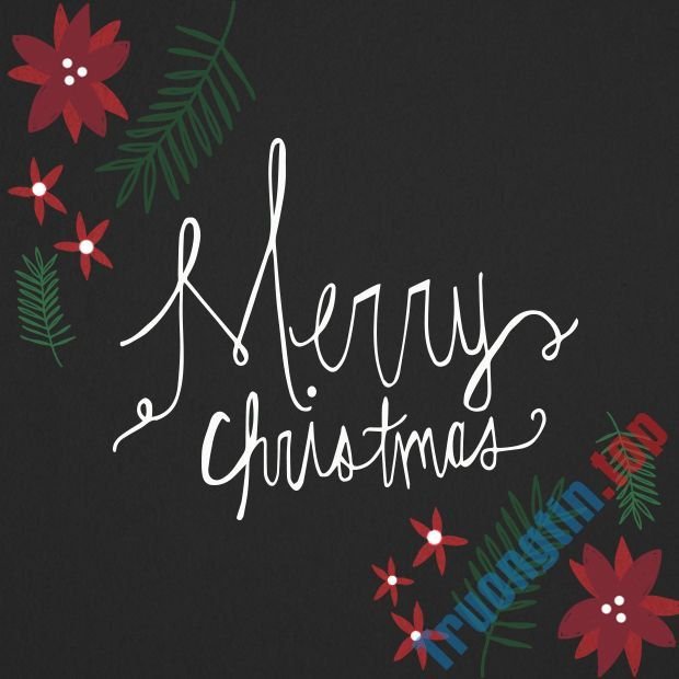 hinh&nbsp;giang&nbsp;sinh&nbsp;dep