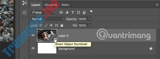 Smart&nbsp;object