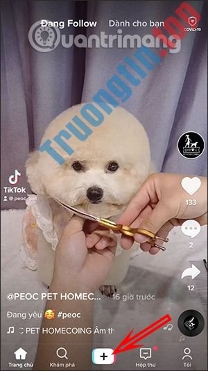 Cách quay video TikTok hiệu ứng ngọ nguậy Time Warp Waterfall 1 Cách quay video TikTok hiệu ứng ngọ nguậy Time Warp Waterfall