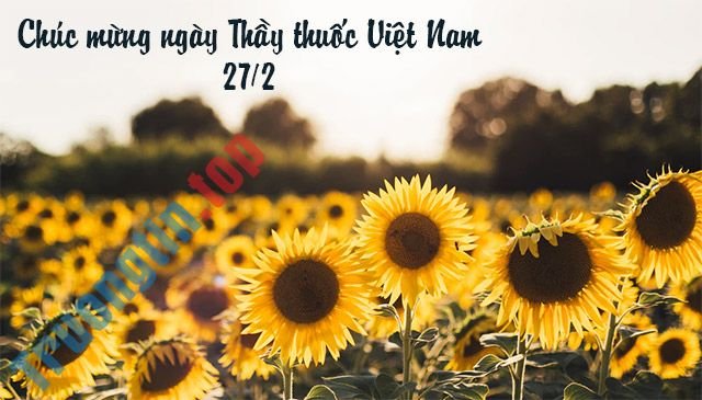 Ảnh chúc mừng 272 hình ảnh hoa đẹp chúc mừng ngày 272