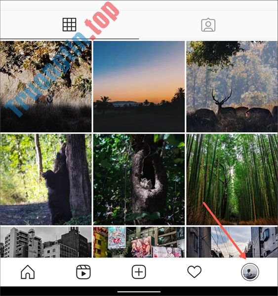 Cách&nbsp;xem&nbsp;danh&nbsp;sách&nbsp;tất&nbsp;cả&nbsp;các&nbsp;liên&nbsp;kết&nbsp;(đường&nbsp;link)&nbsp;bạn&nbsp;đã&nbsp;truy&nbsp;cập&nbsp;trên&nbsp;Instagram