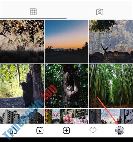 Cách&nbsp;thiết&nbsp;lập&nbsp;tự&nbsp;động&nbsp;chia&nbsp;sẻ&nbsp;các&nbsp;bài&nbsp;đăng&nbsp;và&nbsp;story&nbsp;từ&nbsp;Instagram&nbsp;sang&nbsp;Facebook