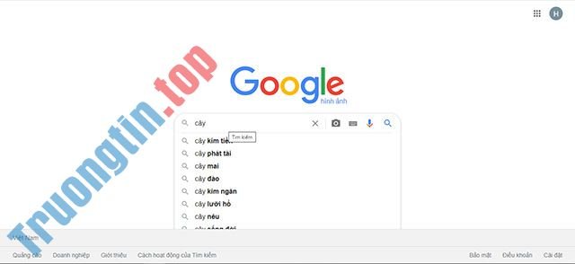 Cách&nbsp;lọc&nbsp;kết&nbsp;quả&nbsp;tìm&nbsp;kiếm&nbsp;hình&nbsp;ảnh&nbsp;Google&nbsp;theo&nbsp;màu&nbsp;sắc