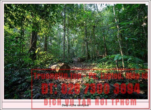 Cách&nbsp;thêm&nbsp;chú&nbsp;thích&nbsp;vào&nbsp;hình&nbsp;ảnh&nbsp;trong&nbsp;Google&nbsp;Docs